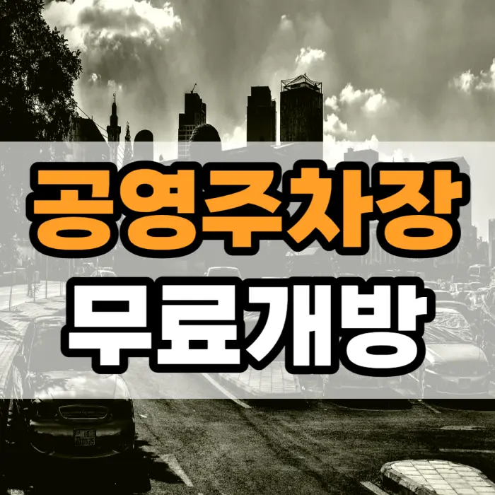 서울시 공영주차장 무료개방