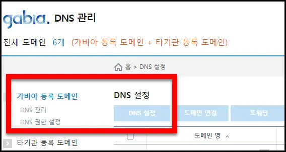 DNS 설정 메뉴