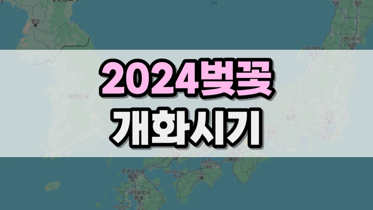 2024 벚꽃 개화시기