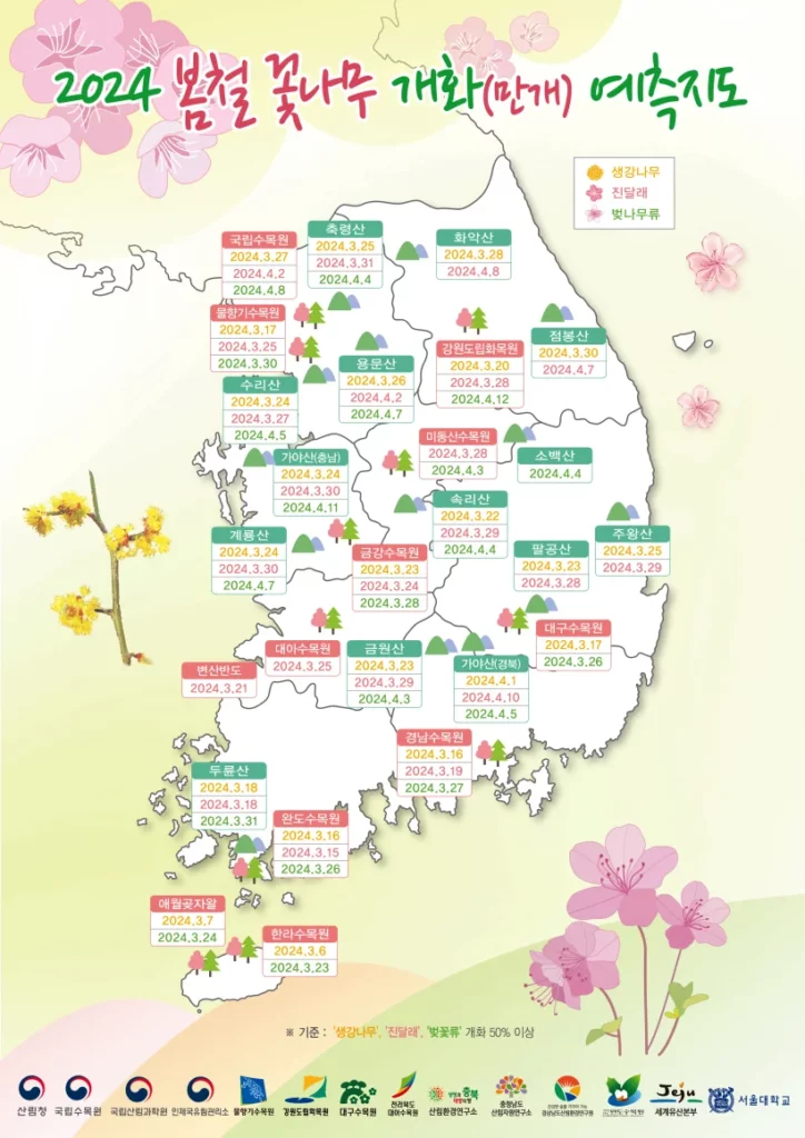 2024년 벚꽃 개화시기 산림청 발표 지도