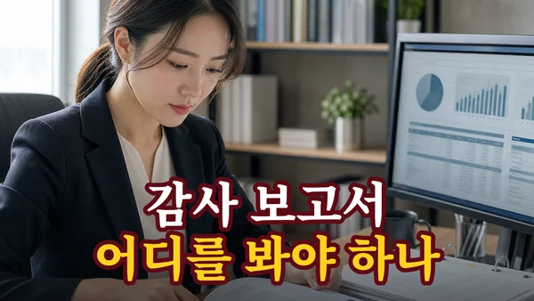 감사보고서 제출기한과 감사의견 조회방법
